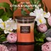 Picture of Citrus & Grapefruit,HomeLights 3-Layer Highly Scented Candles
